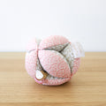 Sensory Ball and Rattle