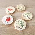 Wooden Lifecycle of a Tomato Plant Discs