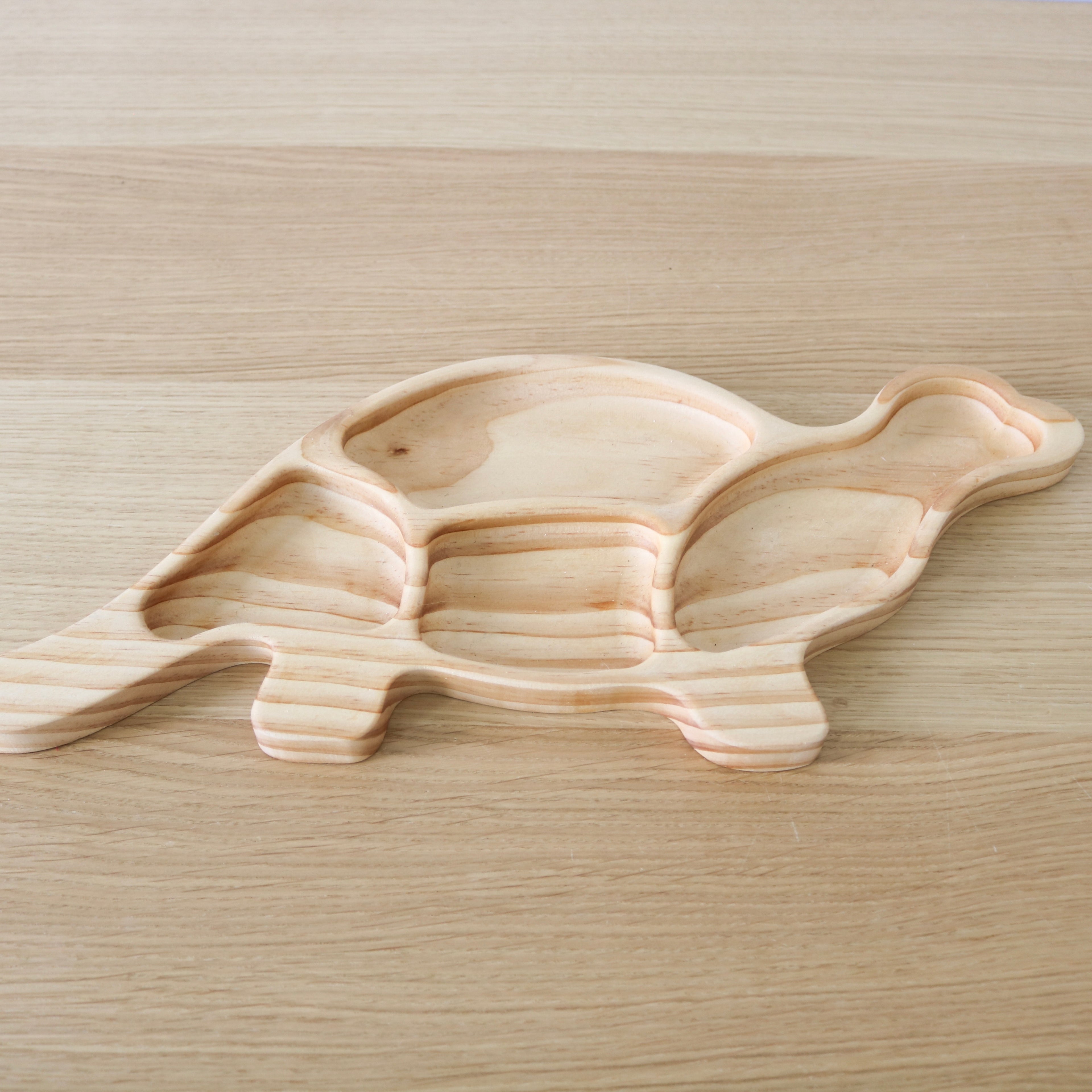 Dinosaur Sensory Tray