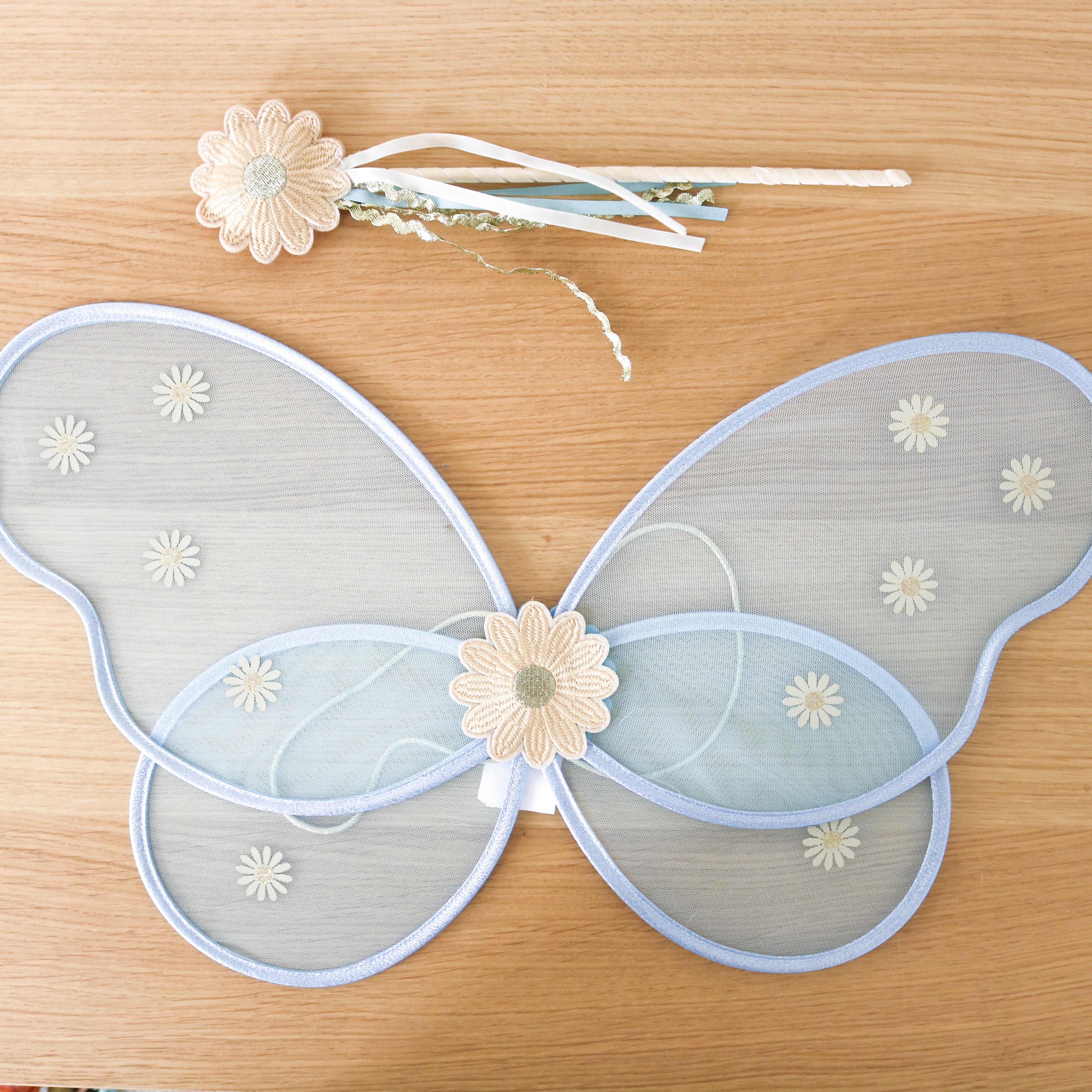 Daisy Fairy Wings and Wand