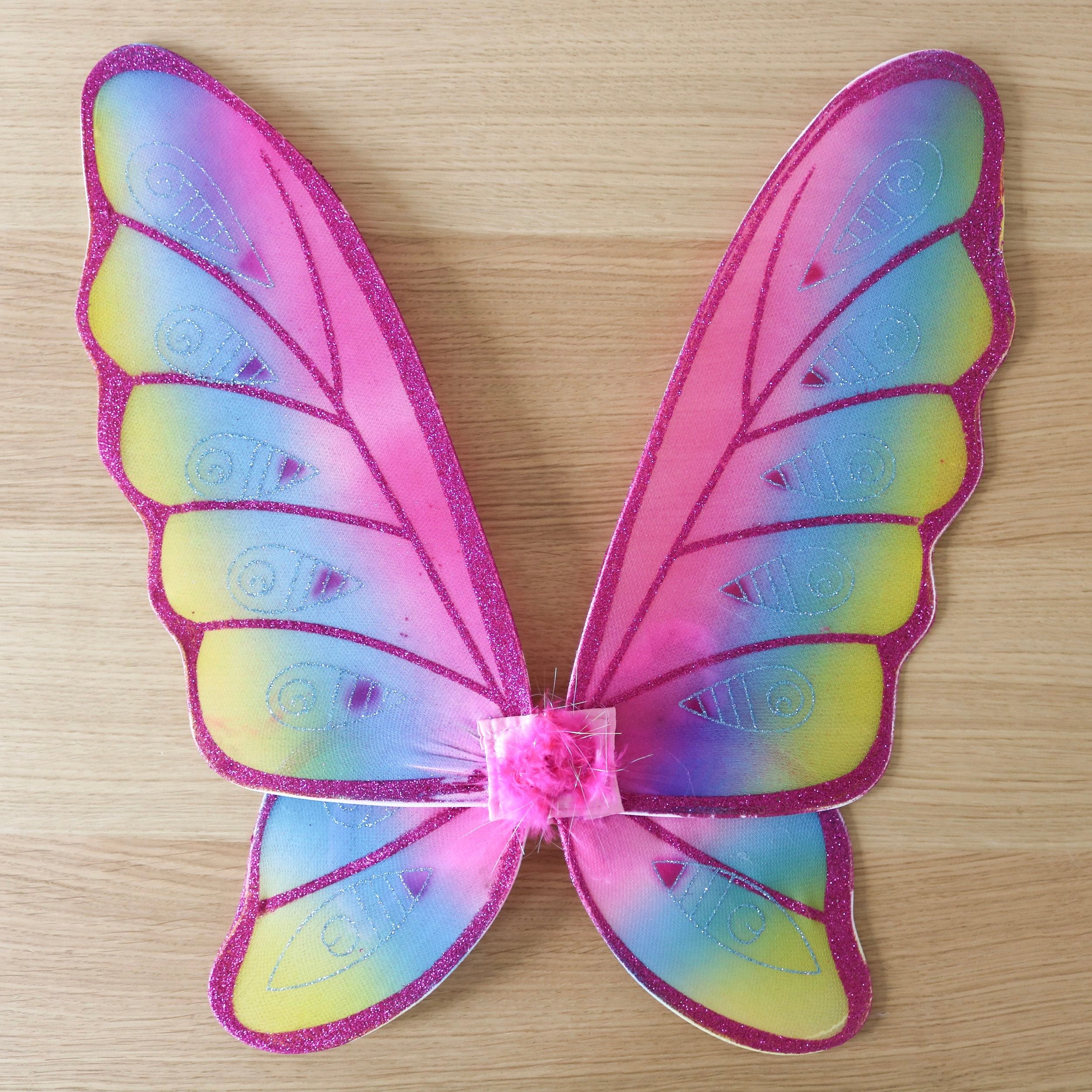 Glitter Rainbow Wings