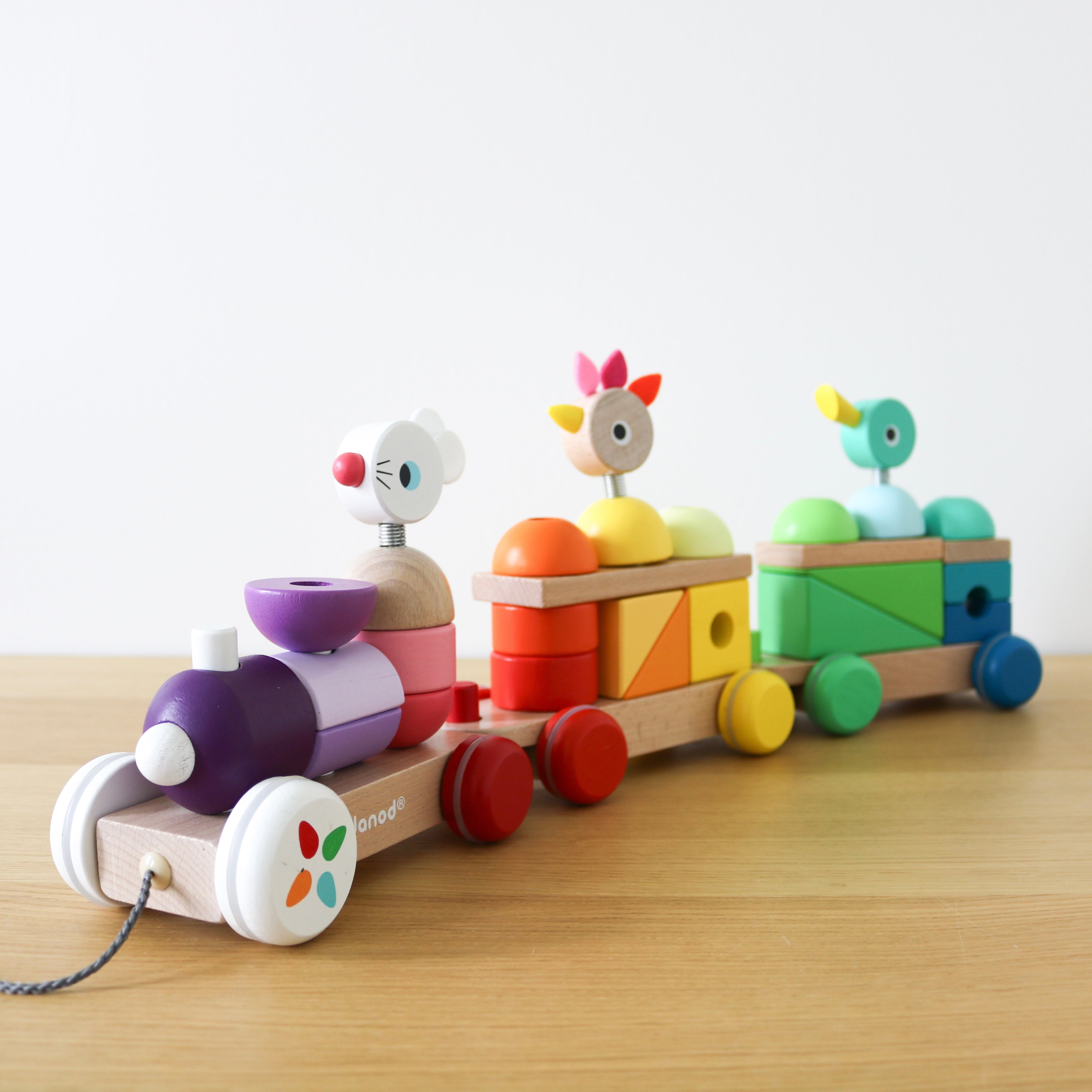 Zigolo Giant Multicolour Train