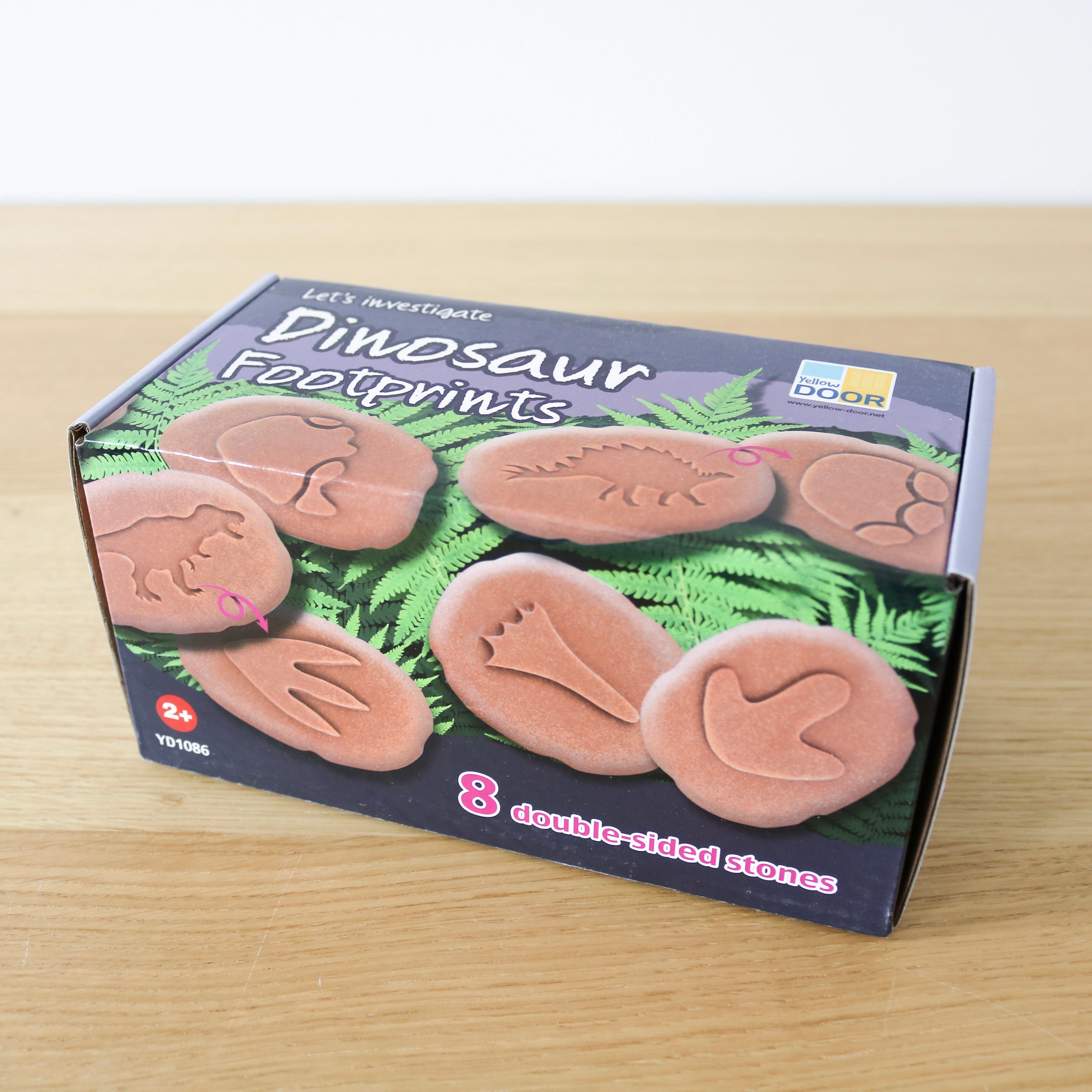 Let’s Investigate Dinosaur Footprints
