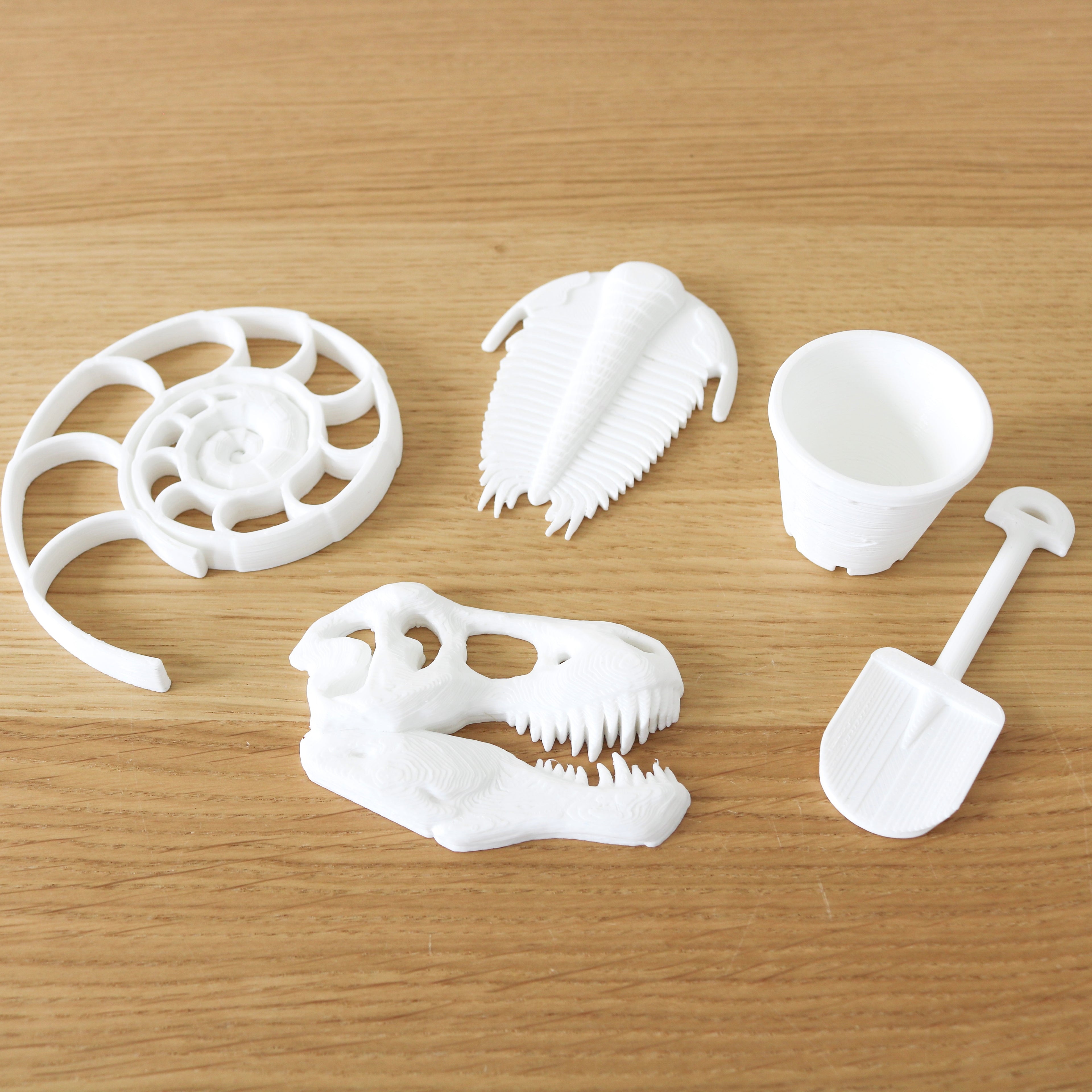 Dinosaur Fossil Dig (5 pcs.)