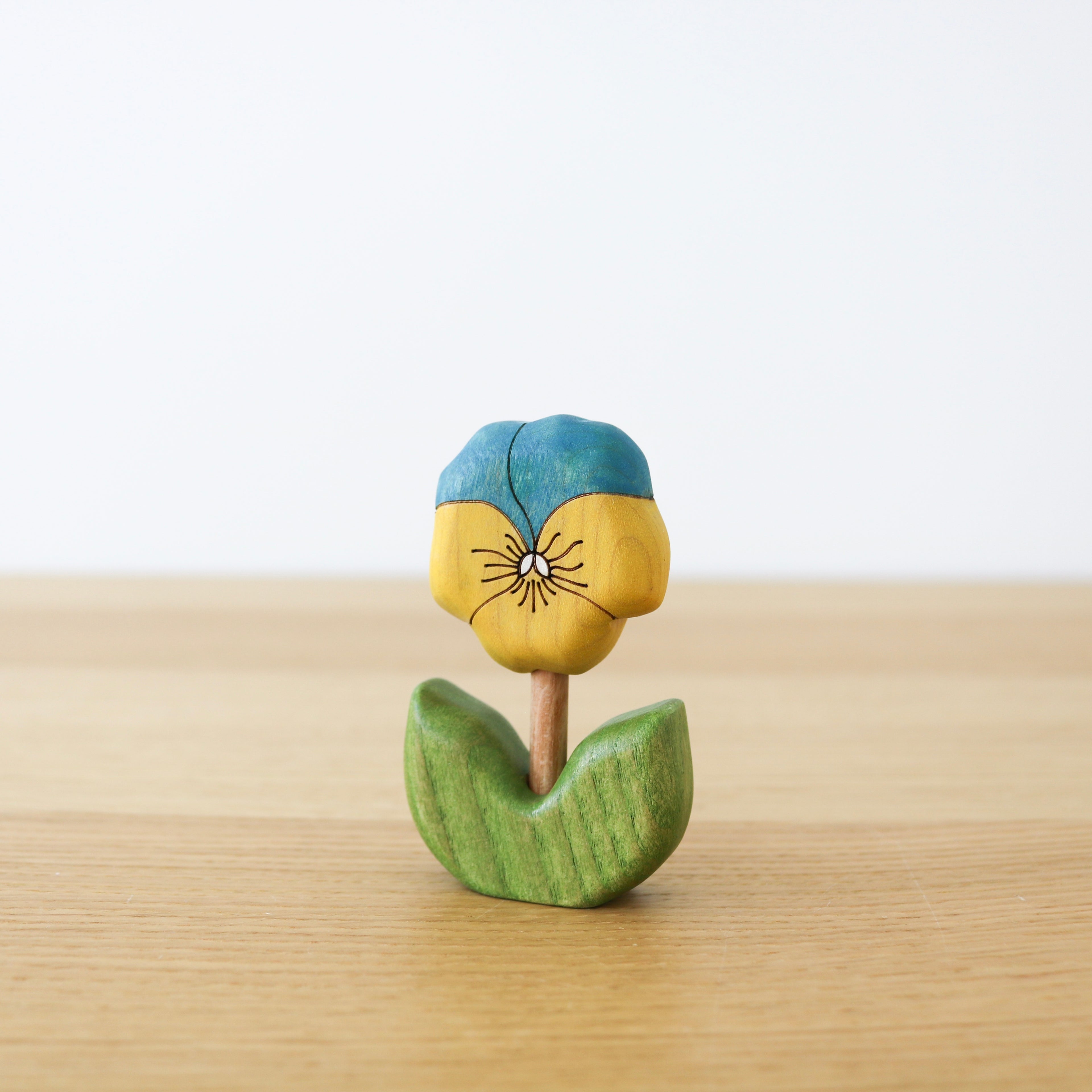 Blue Pansy