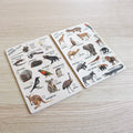 Mini cartes de chasse aux animaux sauvages et au zoo