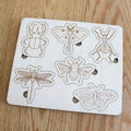 Puzzle d'insectes