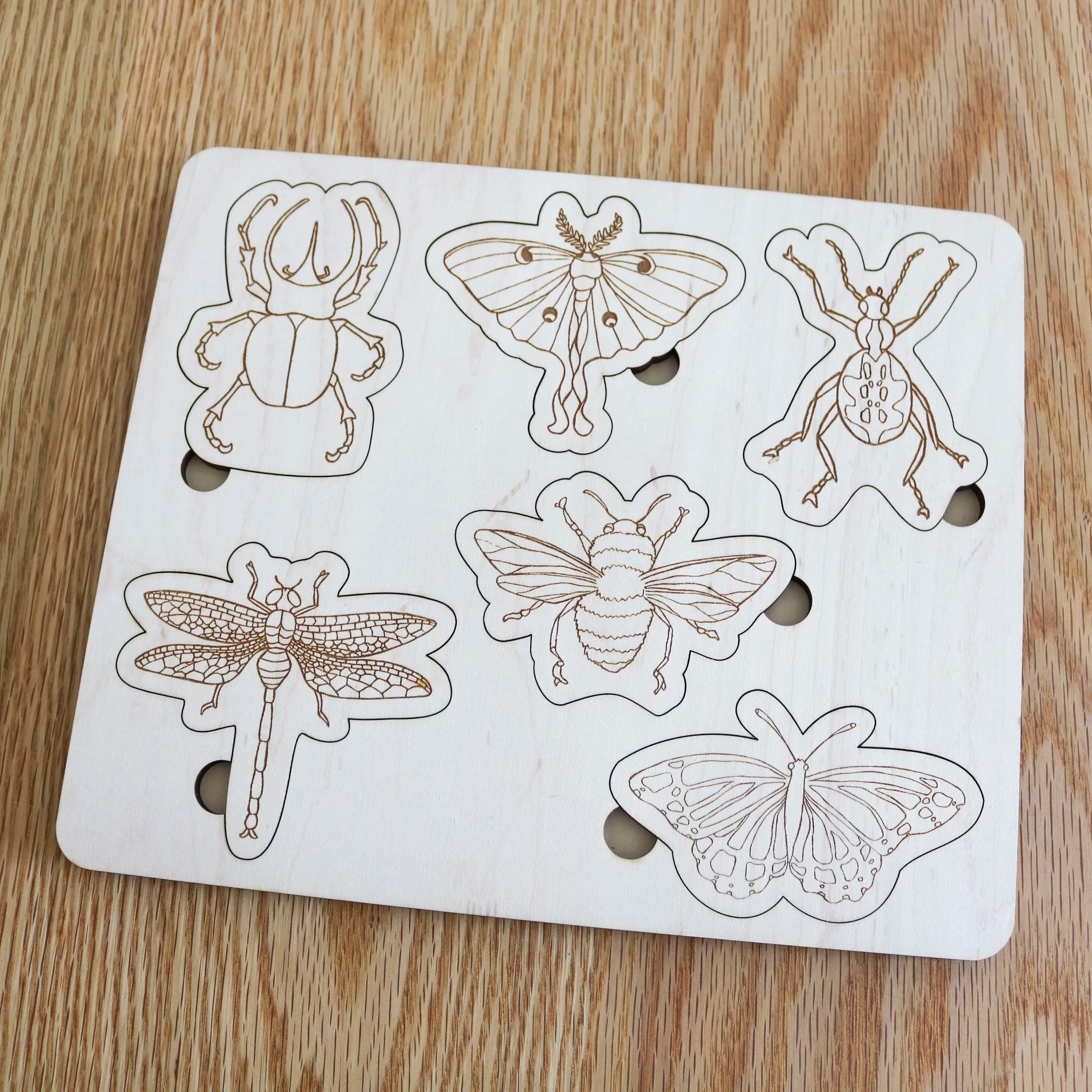 Puzzle d'insectes