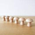 Mushrooms (6 pcs.)