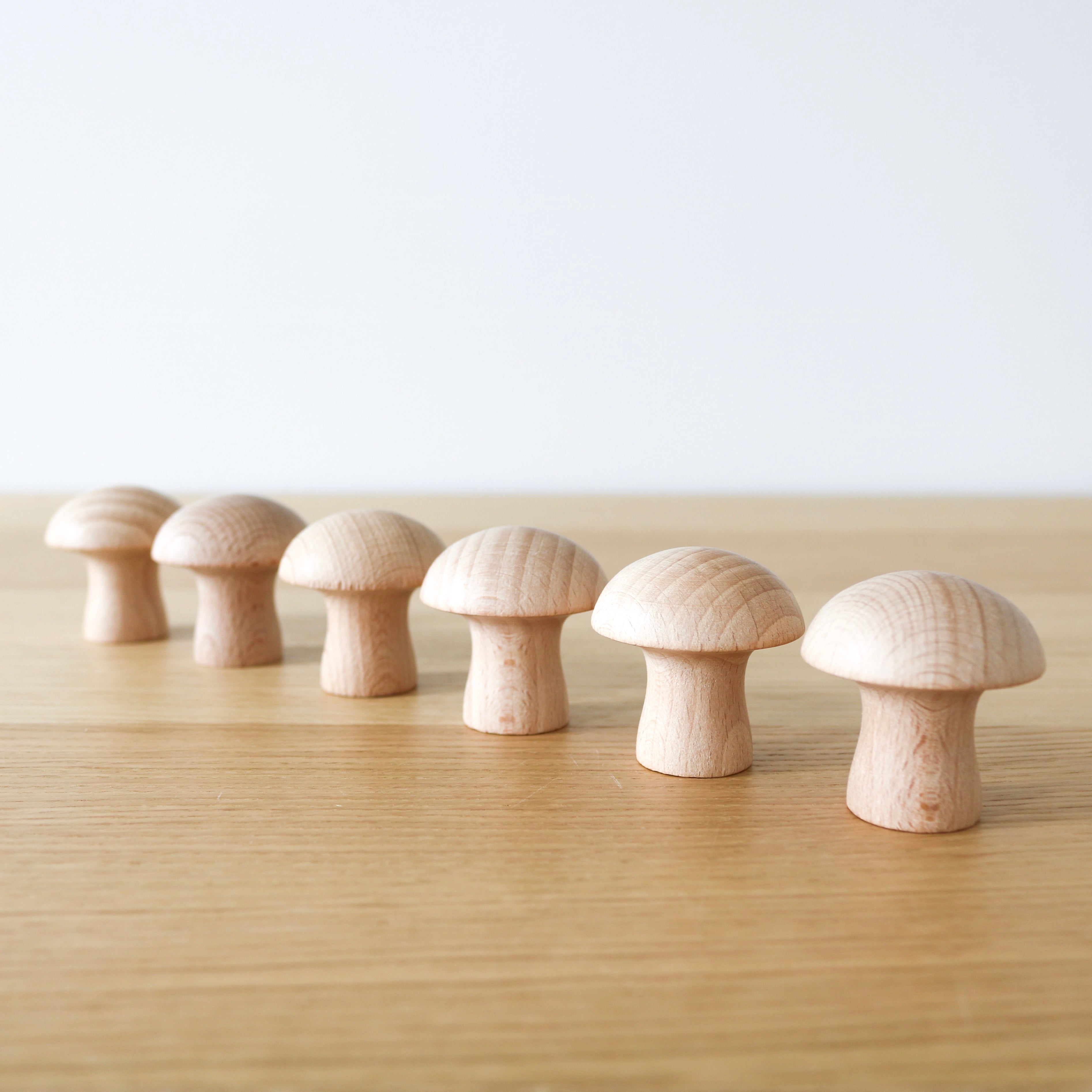 Mushrooms (6 pcs.)