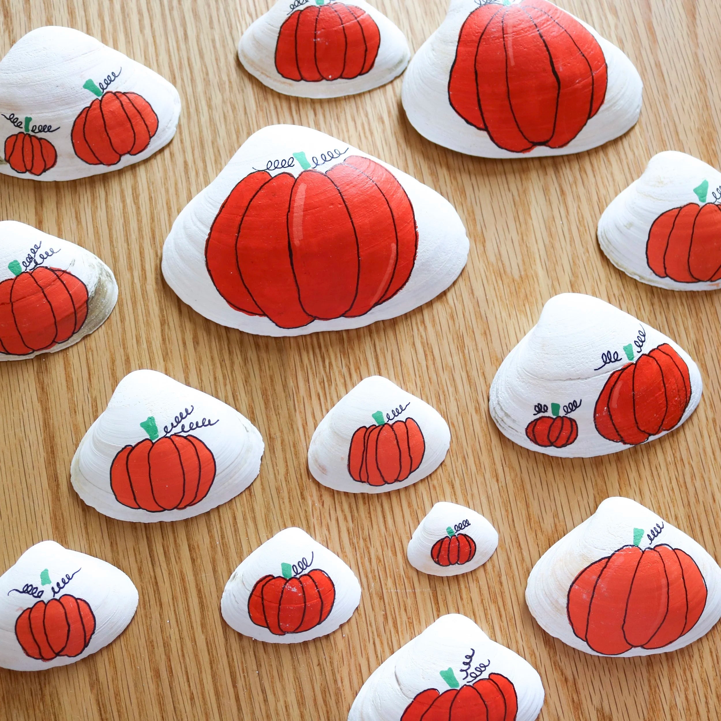 Pumpkin Shells
