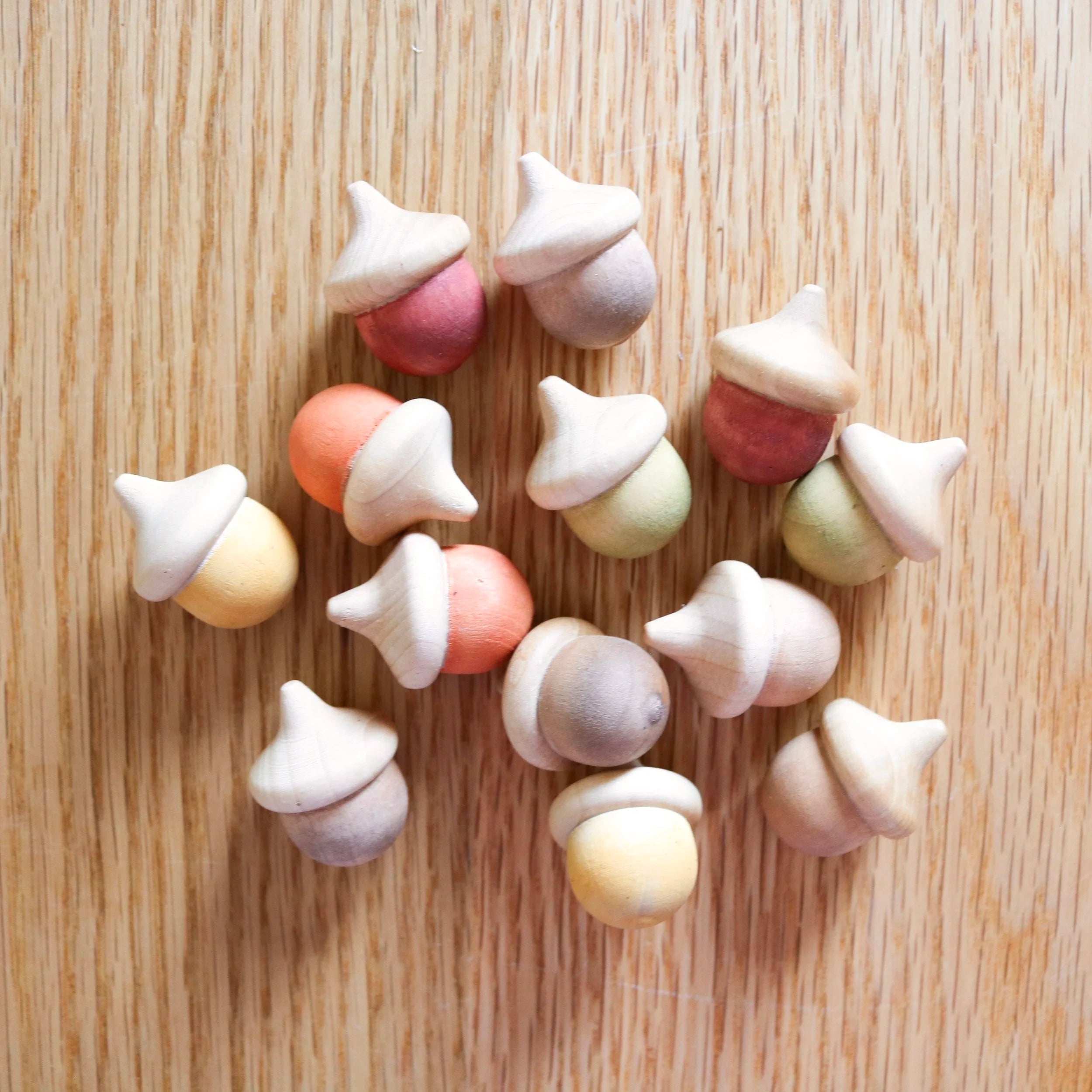 Loose Part Acorns (13 pcs.)