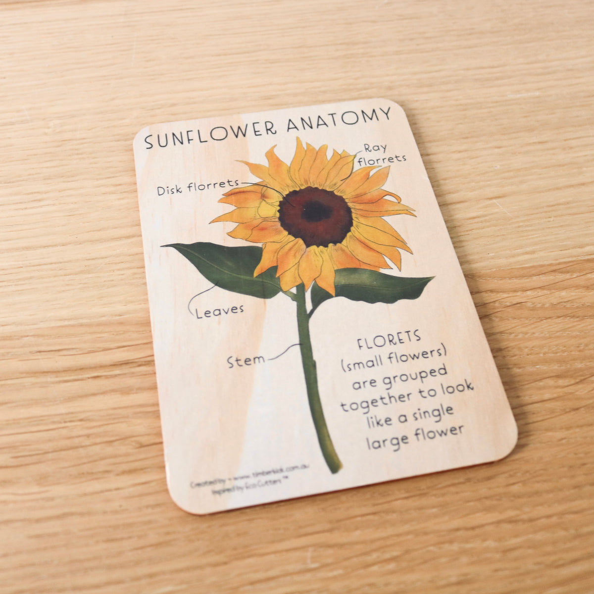 Sunflower Anatomy Card