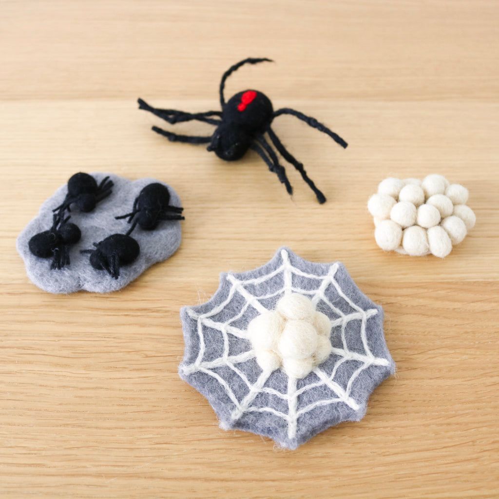 Felt Lifecycle of Redback Spider