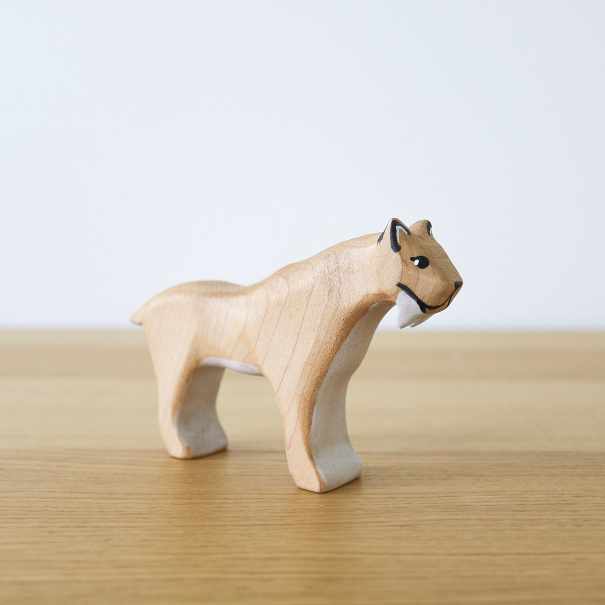 Sabre Tooth Tiger