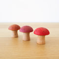 Mushrooms (3 pcs.)