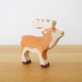 Stag