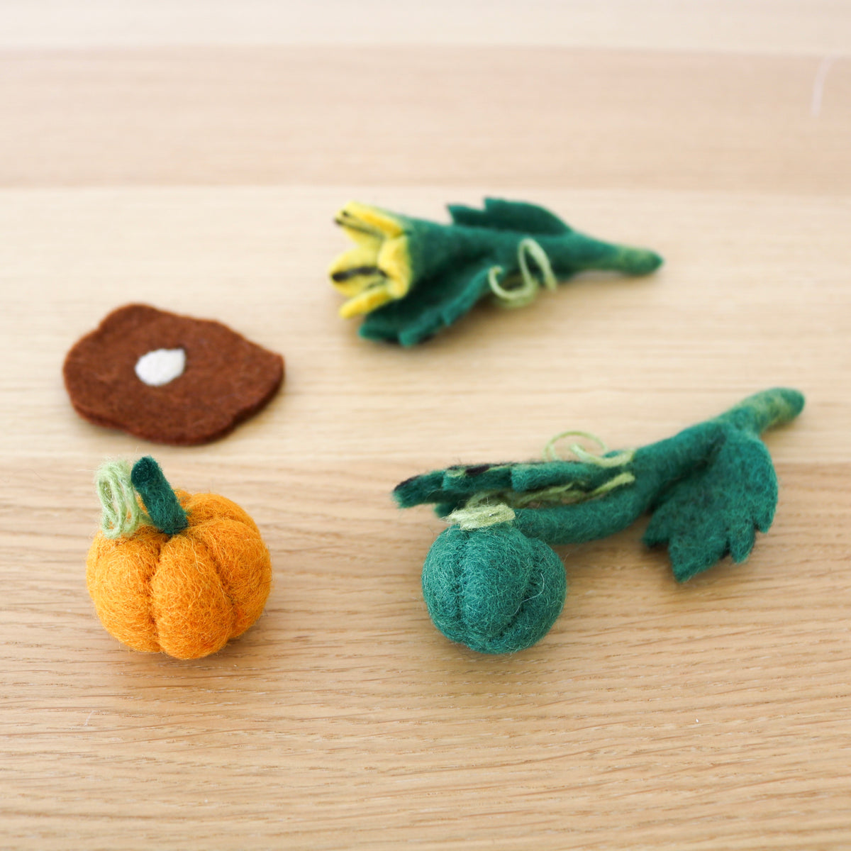 Pumpkin Lifecycle