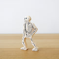 Skeleton