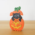 Black Cat in Pumpkin Puzzle