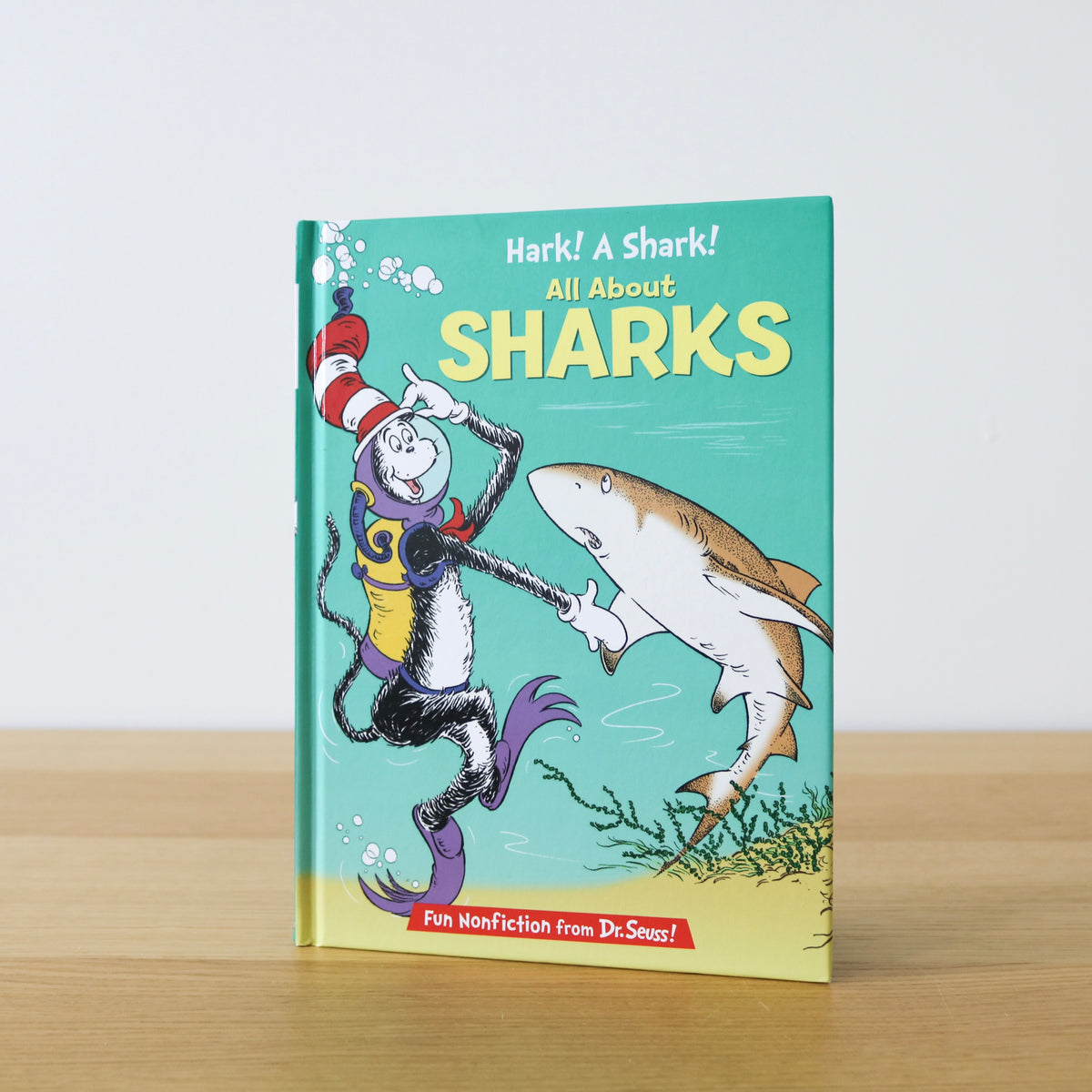 All About Sharks