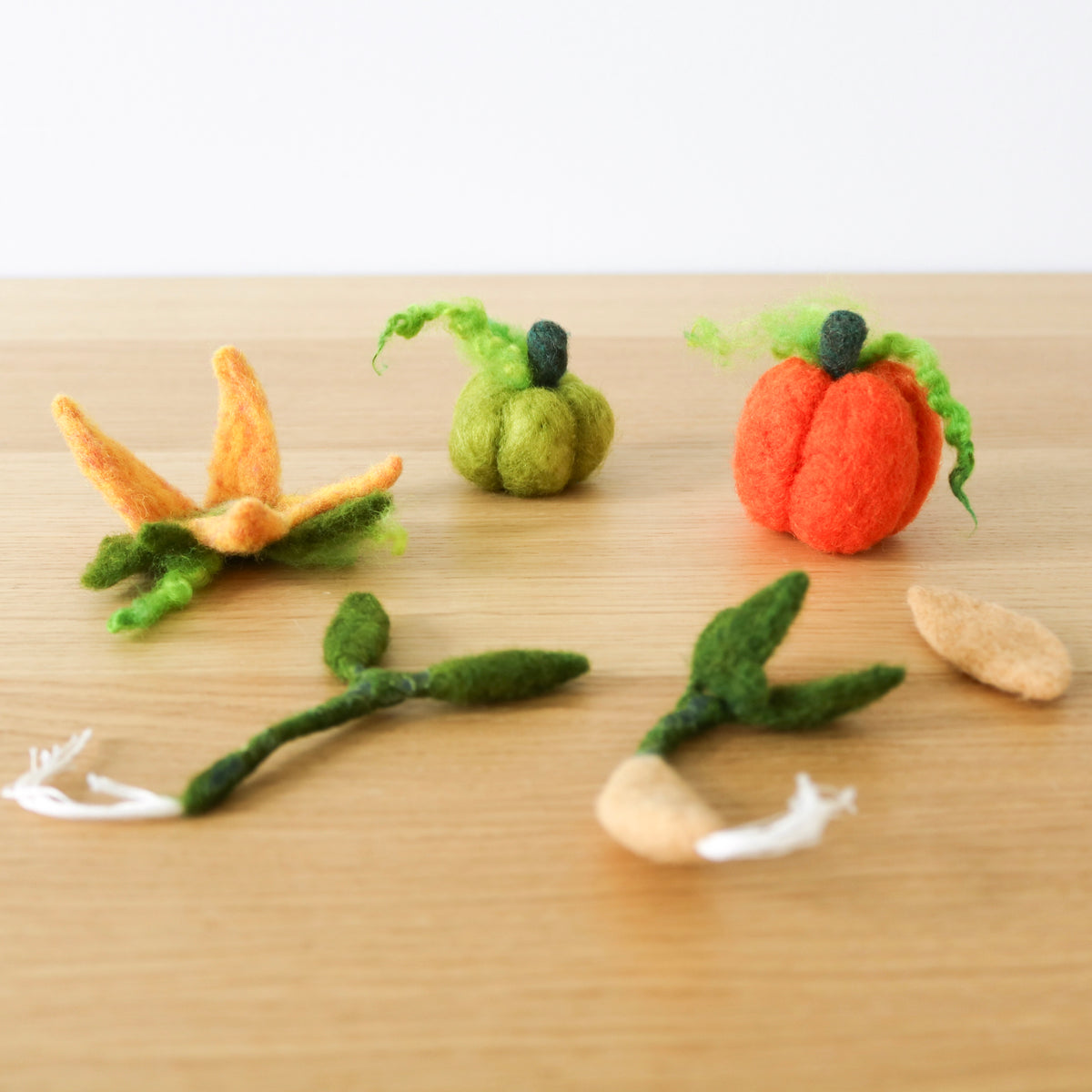 Pumpkin Lifecycle