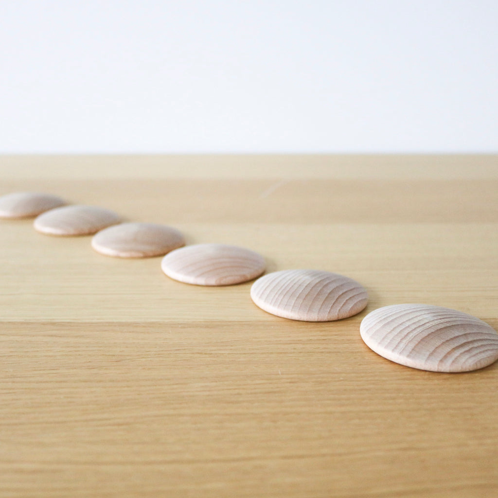 Discs (6 pcs.)