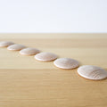 Discs (6 pcs.)