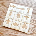 Carreaux assortis Océan