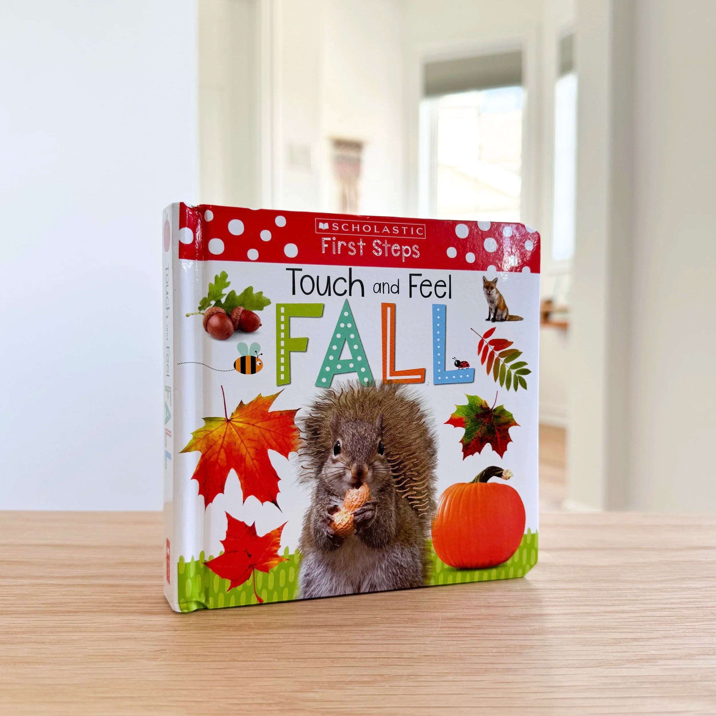 Touch and Feel Fall
