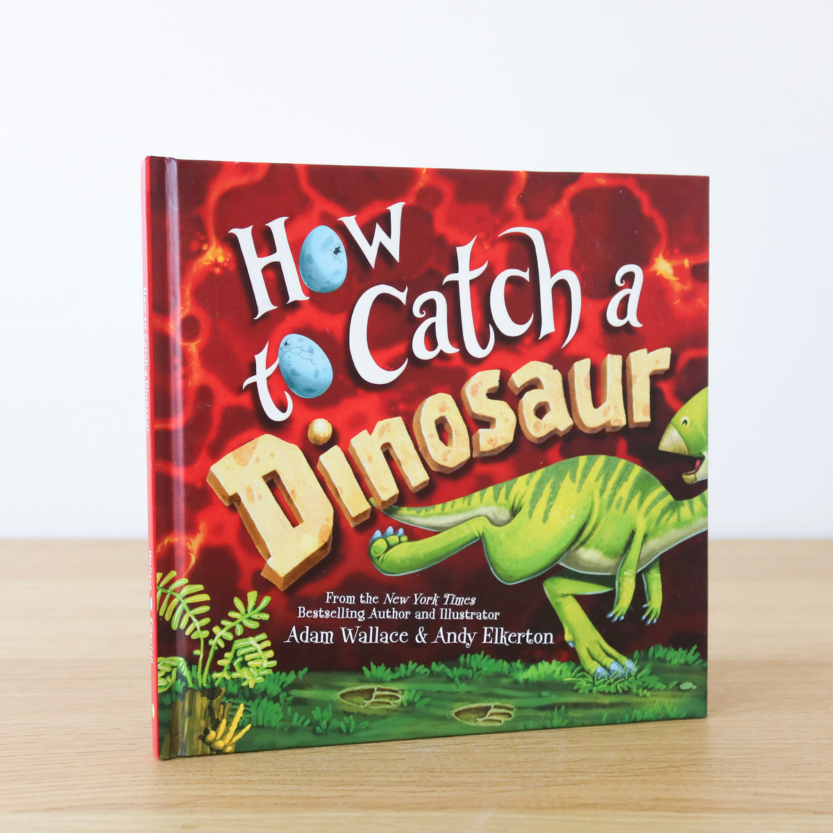 How to Catch a Dinosaur