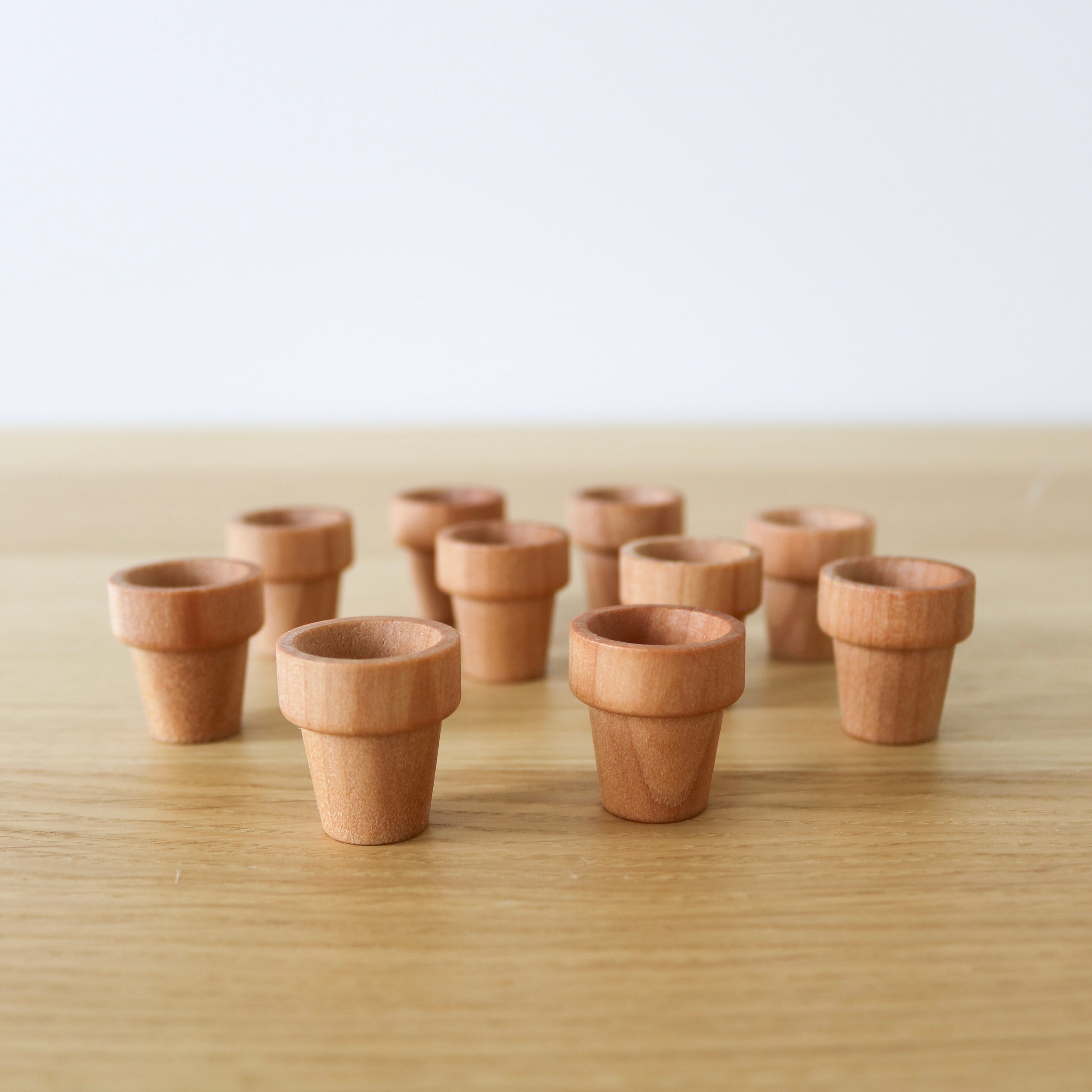 Miniature Wooden Plant Pots