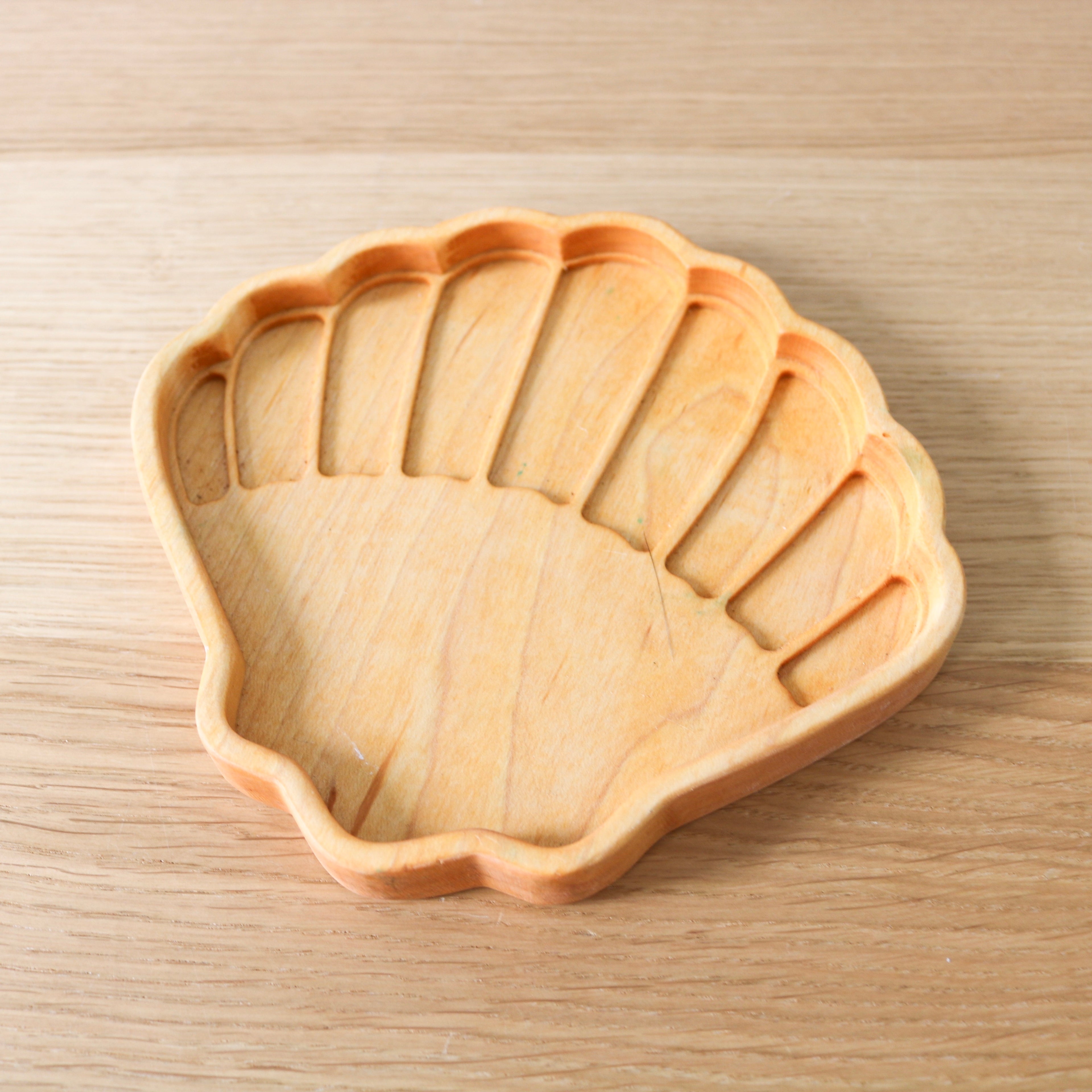 Shell Sensory Tray